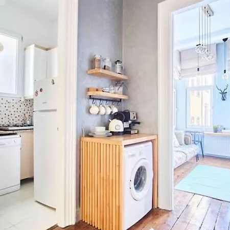Modern&old Style Flat In The Center Of Cihangir