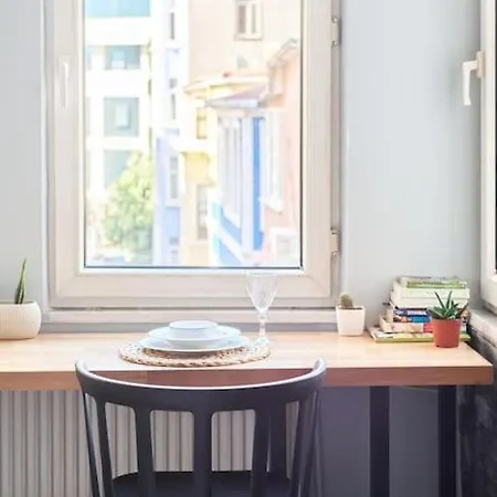 Apartment Modern&old Style Flat In The Center Of Cihangir
