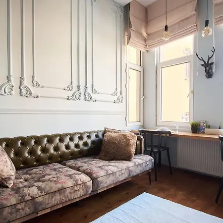 Apartment Modern&old Style Flat In The Center Of Cihangir *