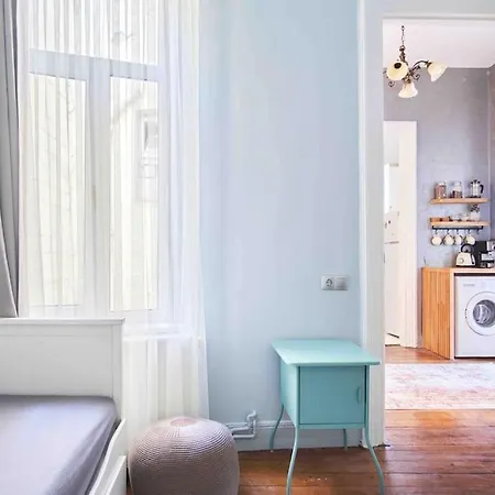 Modern&old Style Flat In The Center Of Cihangir Apartment Istanbul